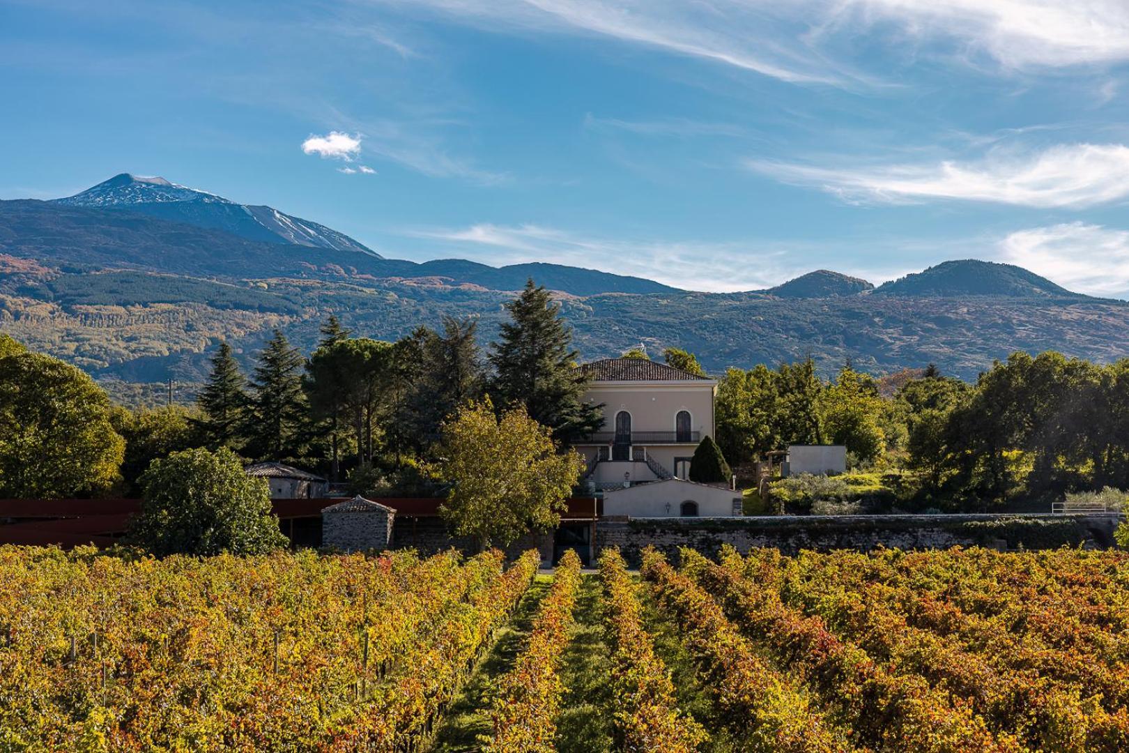 Campore Etna Wines And Resort Рандацо Екстериор снимка